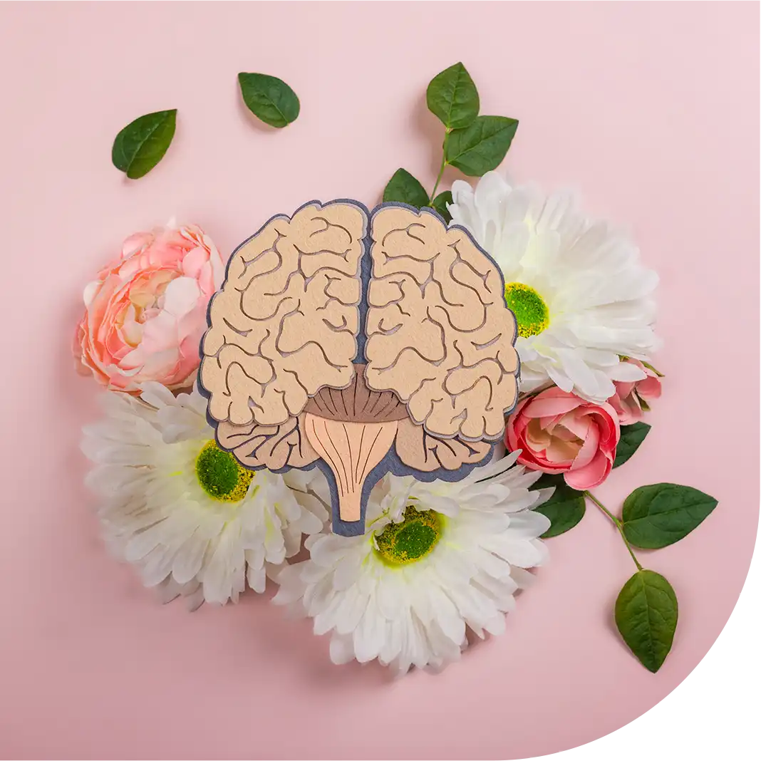 Terapia Online Programação Neurolinguística